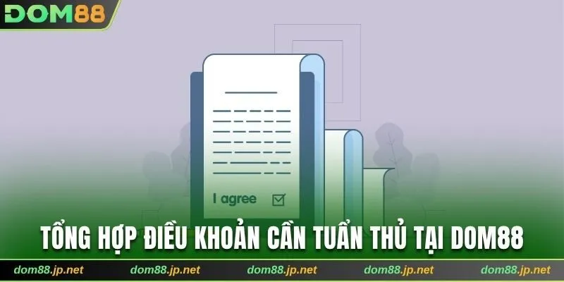 Các quy định cần tuân thủ tại Dom88