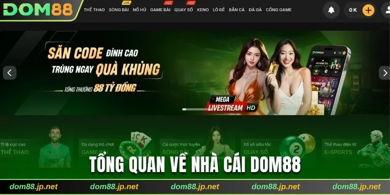 Thông tin về nhà cái trực tuyến Dom 88
